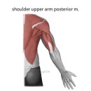 파주하나한의원 이미지