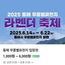 동해 라벤더축제 무릉별유천지 가격 기간 주차 데이트 후기