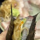 막회해산물투성이 | [문래 막회 해산물 투성이] 대삼치회 후기