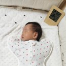 포항시남구43 | 포항 남구보건소 출산선물 후기 🎁 생각보다 알찬데?