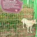만금팬션 | 1박2일 목포유달산 / 명량 / 진도 여행 가장 편하게 하기 - 겨울 남도 여행