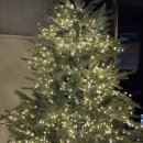 에이티디 | 문래 술집 티에이티디 칵테일후기