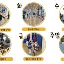 태권아이인성관 이미지