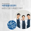 더바른동물병원 앞 이미지