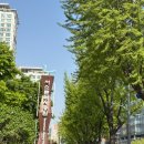 조명박물관 공연장 | 20260419 데이먼스 이어 단독공연 [제 2 미해결문제] @서소문성지 역사박물관 콘솔레이션 홀