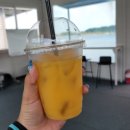 [김제 가볼만한곳] 전북 빠지 김제지평선마린리조트