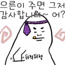 돼지고기듬뿍넣은김치찌개 - 북구 설죽로 518-4 | 돼지고기듬뿍넣은김치찌개