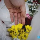 효사랑요양병원장례식장