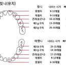 서울바로나치과병원 네이버블로그