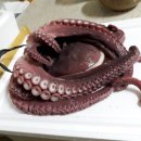 성용수산 이미지