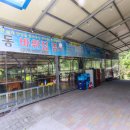 바위집염소 이미지