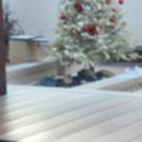 향도여관 이미지