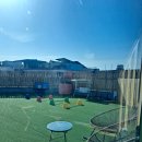 낭만 Dog 이미지