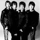 오아시스 이미지