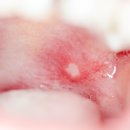 신세계항의원 이미지