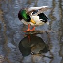 자연대로 이미지