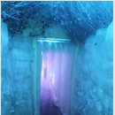 아이스뮤지엄 이미지