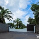 카세로지 이미지