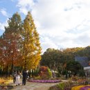 꿈이있는나무작은도서관 이미지