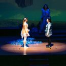 문화예술회관 대공연장 | 2025 모든예술31 평택 선정, 평택 서부문화예술회관 대공연장에서 공연한 뮤지컬 라스트피쉬