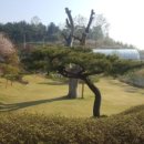 안태울캠핑장 이미지