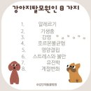 킴스 펫클리닉 이미지