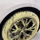 휠프로 | 프로스태프 몬스터 켈베로스 휠브러쉬 후기 (튐 현상 적음)