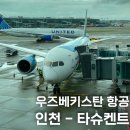 타슈켄트 | 우즈베키스탄항공 인천에서 타슈켄트 탑승 후기 체크인 수하물 기내식 좌석 정보
