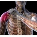 일산하이병원 이미지