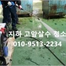 수조종합스포츠