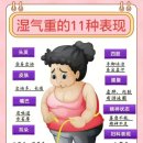 하얼빈테라피 이미지