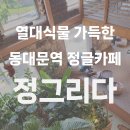 정글카페