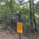 입화산참살이숲야영장 | 울산 입화산(204m) [중앙고-태화저수지-전망대-정상] 등산후기