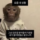 이마트24 광주열린병원점 | 내가 들이받을 순 없잖아.. [1월]