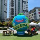 [2025 세종 유기농데이] 친환경 축제 체험&amp;마켓 리뷰