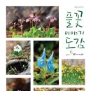 풀꽃이야기 이미지