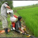 니랑나랑 이미지