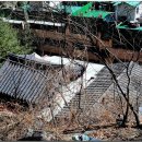 찬내음 Daum카페