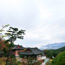 용담전기충전소 | 가을 단풍 여행 ☆ 팔공산 힐링 사찰 도림사 산책 후기