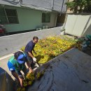 온천2동-6 이미지