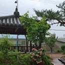 부동산밴드공인중개사사무소 이미지