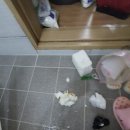 서원동-24 이미지