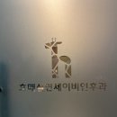 호매실연세이비인후과 | 수원 수면다원검사 수면무호흡 때문에 결국 예약하고 다녀온 후기