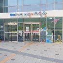 동부 할머니 | [공지] 부산 수학여행: 솔직히 기대 이상임