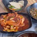 모자백반 이미지