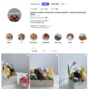 프헤즈프룻