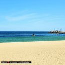 58년감자탕막국수 이미지