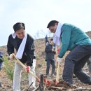 희망나무심기2 이미지