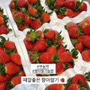 향아농원