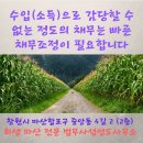 창원개인회생법무사성영도사무소